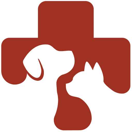 Medical icon